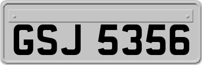 GSJ5356