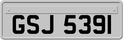 GSJ5391