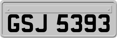 GSJ5393