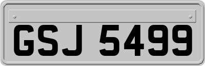 GSJ5499