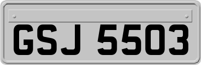 GSJ5503