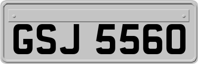 GSJ5560