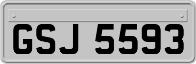 GSJ5593