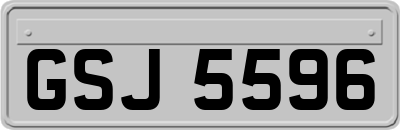 GSJ5596