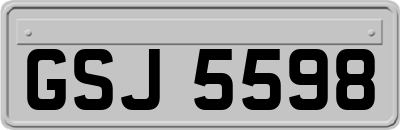 GSJ5598
