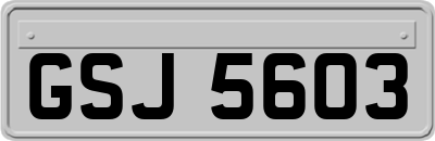 GSJ5603