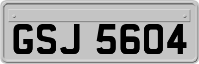 GSJ5604
