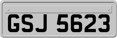 GSJ5623