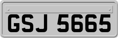 GSJ5665