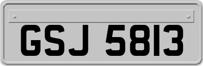 GSJ5813