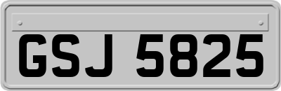 GSJ5825