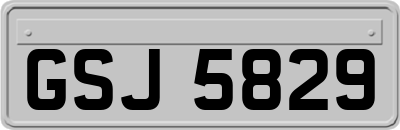 GSJ5829