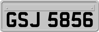 GSJ5856