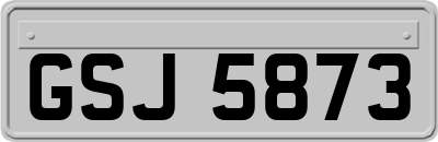 GSJ5873