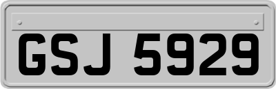 GSJ5929