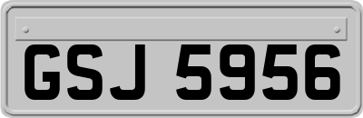 GSJ5956