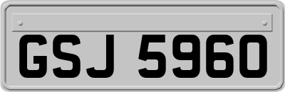GSJ5960