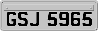 GSJ5965