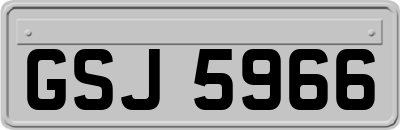 GSJ5966