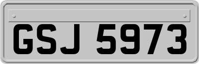 GSJ5973