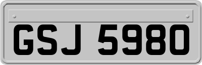 GSJ5980