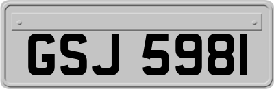 GSJ5981