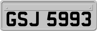 GSJ5993