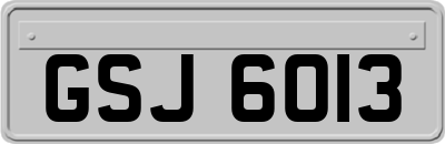 GSJ6013