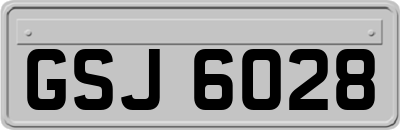 GSJ6028
