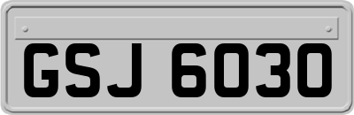 GSJ6030