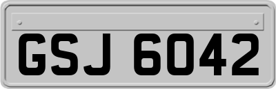GSJ6042