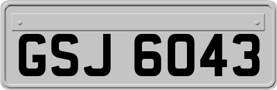 GSJ6043