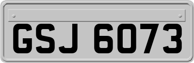GSJ6073