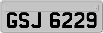 GSJ6229
