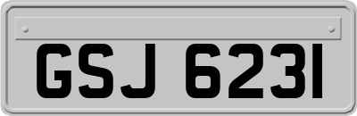 GSJ6231