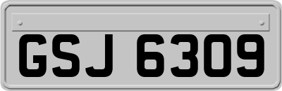 GSJ6309