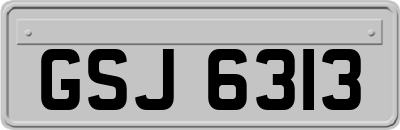 GSJ6313