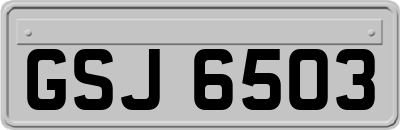 GSJ6503