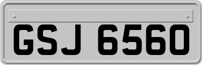 GSJ6560