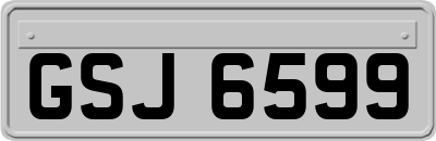 GSJ6599