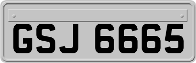 GSJ6665