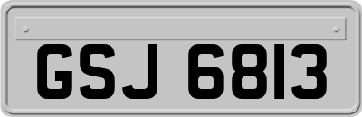 GSJ6813