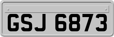GSJ6873
