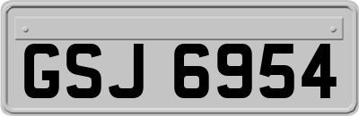 GSJ6954