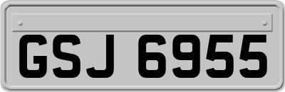 GSJ6955