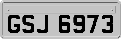 GSJ6973