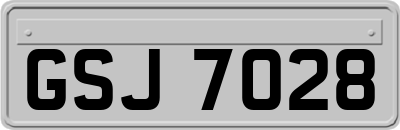 GSJ7028