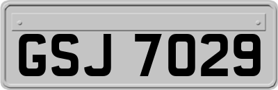 GSJ7029
