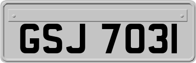 GSJ7031