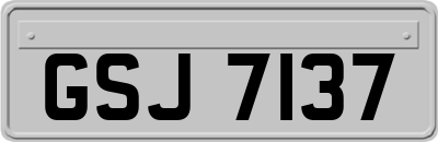 GSJ7137